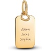 image:imagePANDORA Engravable Rectangle Tag Pendant  14K GoldPlated Engravable Pendant for Women  PANDORA Moments Jewelry  Gifts for Women  Includes Gift Box