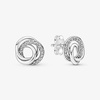image:imagePANDORA Family Always Encircled Stud Earrings  Timeless Earrings for Women  Gift for Her  Made with Sterling Silver amp Cubic Zirconia  With Gift Box