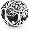 image:imagePANDORA Family Tree Charm  Engraved Family Message  Meaningful Keepsake  Jewelry for Women with Gift Box  Compatible Moments Charm Bracelets  Sterling Silver