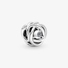 image:imagePANDORA Eternity Circle Charm  Compatible Moments  Gift for Her  Made with Sterling Silver and Manmade Crystals  with Gift BoxClear