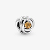 image:imagePANDORA Eternity Circle Charm  Compatible Moments  Gift for Her  Made with Sterling Silver and Manmade Crystals  with Gift BoxHoney