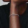 image:imagePANDORA Eternity Circle Charm  Compatible Moments  Gift for Her  Made with Sterling Silver and Manmade Crystals  with Gift BoxRed