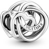 image:imagePANDORA Family Always Encircled Heart Charm  Compatible Moments  Stunning Womens Jewelry  Gift for Her  Made with Sterling Silver  With Gift Box