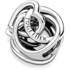 image:imagePANDORA Family Always Encircled Heart Charm  Compatible Moments  Stunning Womens Jewelry  Gift for Her  Made with Sterling Silver  With Gift Box