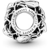 image:imagePANDORA Openwork Chain Link Padlock Charm  Gift for Her  Compatible Moments  Sterling Silver  With Gift Box