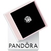 image:imagePANDORA Openwork Chain Link Padlock Charm  Gift for Her  Compatible Moments  Sterling Silver  With Gift Box