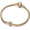 image:imagePANDORA Studded Clip Charm